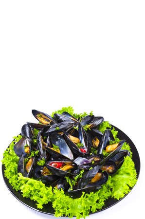 Musselsの写真素材
