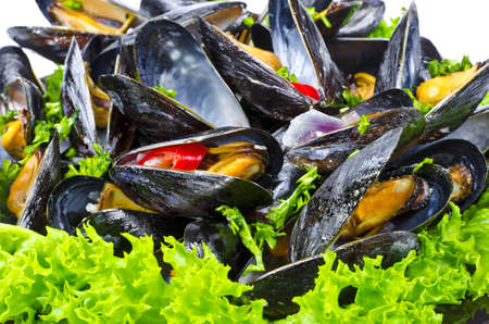 Musselsの写真素材