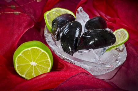 Musselsの写真素材