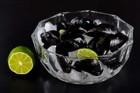 Musselsの写真素材