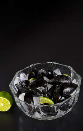 Musselsの写真素材