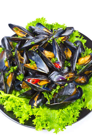 Musselsの写真素材