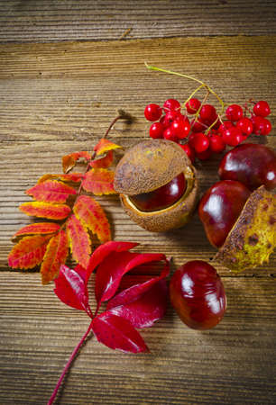 autuminの写真素材