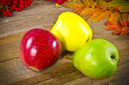 Fruitの写真素材