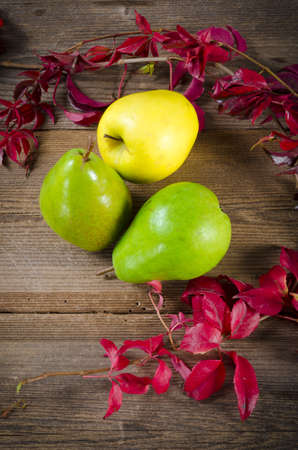 fruitの写真素材