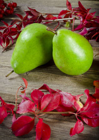 fruitの写真素材