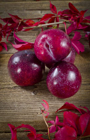 fruitの写真素材