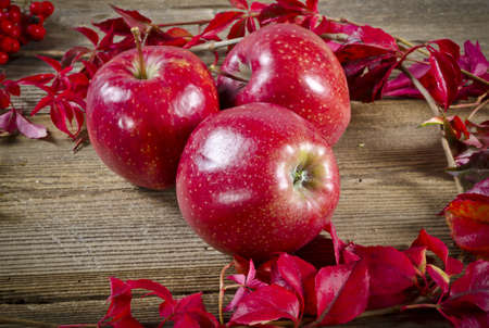 fruitの写真素材