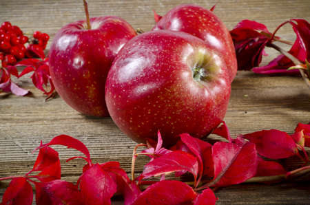 fruitの写真素材