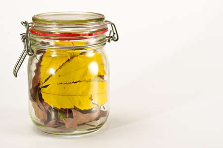 Autumn harvestの写真素材