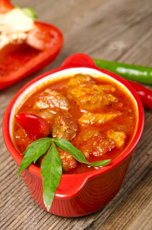 Hungarian goulashの写真素材