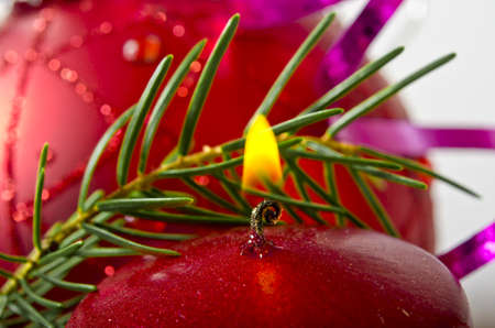 christmasの写真素材