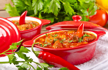 Hungarian goulashの写真素材