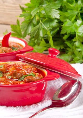 Hungarian goulashの写真素材
