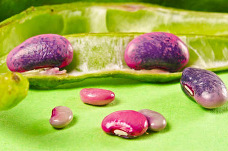 Redness beansの写真素材