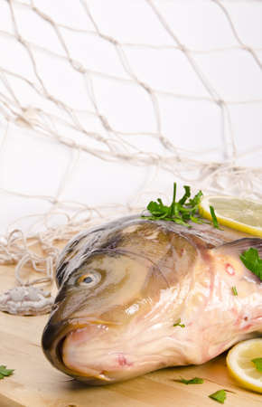 carpsの写真素材