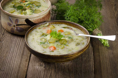 Polish pickled cucumbers soupの写真素材