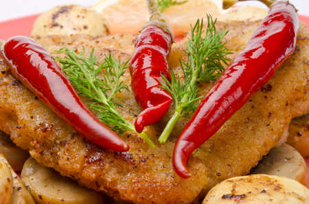 Wiener Schnitzelの写真素材