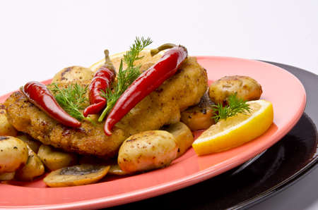 Wiener Schnitzelの写真素材