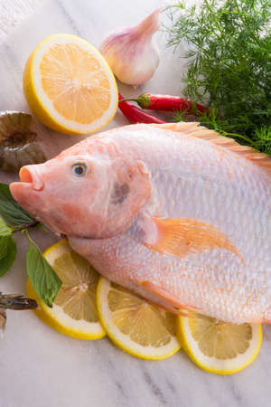 Freshness reddens the Nile Tilapia fish  Oreochromis niloticus の写真素材