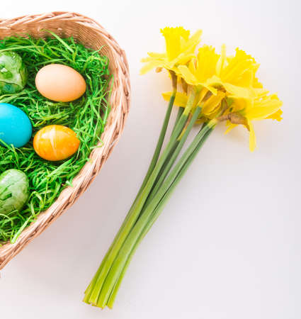 Coloured eggsの写真素材