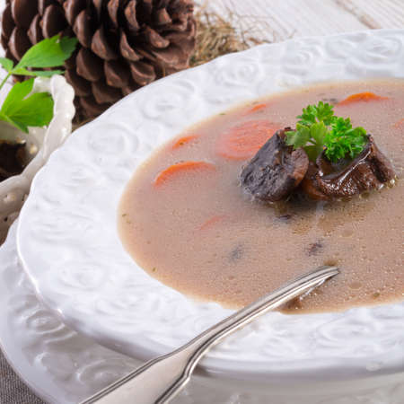 stone mushroom soupの写真素材
