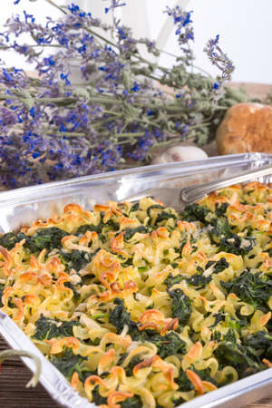 Spinach noodle crowd au gratinの写真素材
