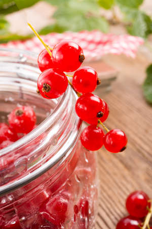 sugared red currantの写真素材