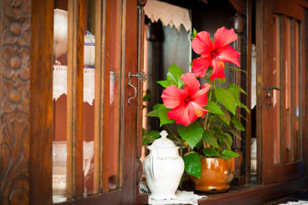 old buffet の写真素材