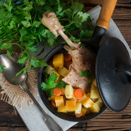 	Goose - soup with red wine and thymeの写真素材