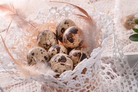 quail's eggs