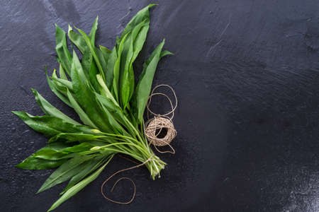 bear's garlic
