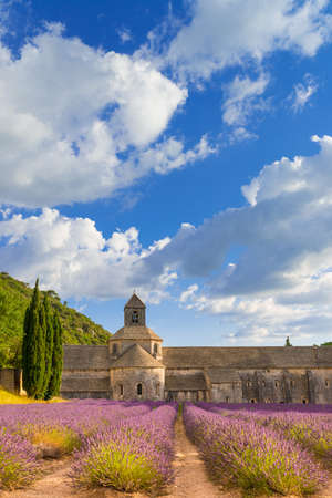 Monasteries of the Cistercianの写真素材