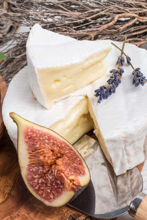 soft cheese antipastiの写真素材