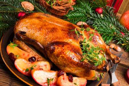 Christmas duckの写真素材