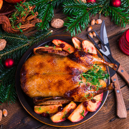 Christmas duckの写真素材