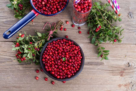 Lingonberriesの写真素材