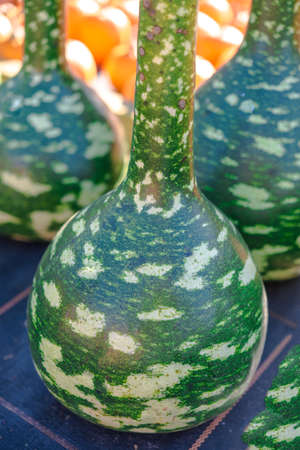 Calabashの写真素材