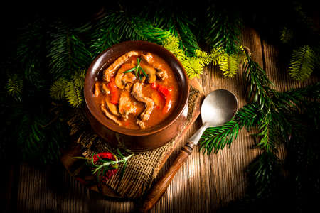 Beef Stroganoffの写真素材