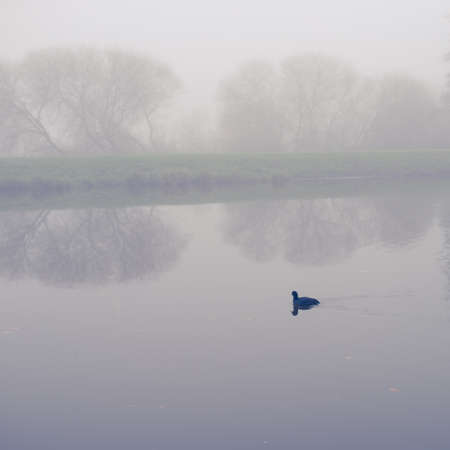 fog at the riverの写真素材