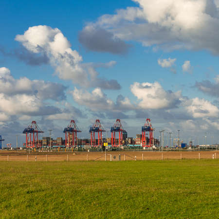 Container Terminalの写真素材
