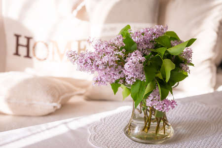 Syringaの写真素材