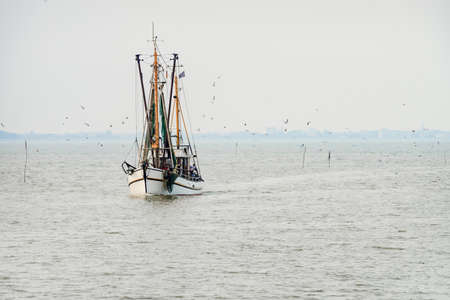North Sea Shrimp Boats