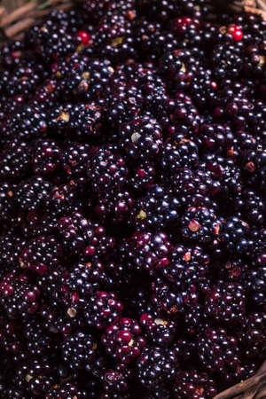 Raspberriesの写真素材