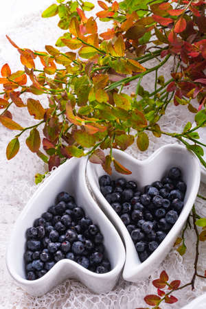 Blueberryの写真素材