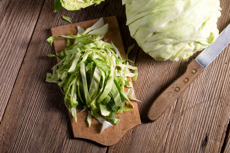 young cabbageの写真素材