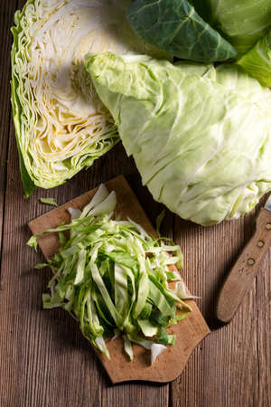 young cabbageの写真素材
