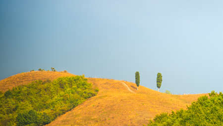 Fields in Tuscanyの写真素材