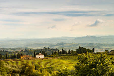 Fields in Tuscanyの写真素材