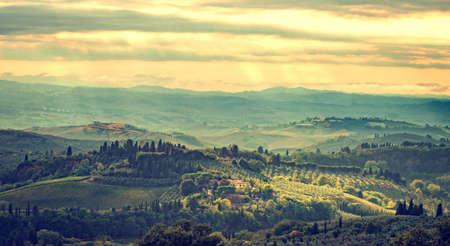 Fields in Tuscanyの写真素材